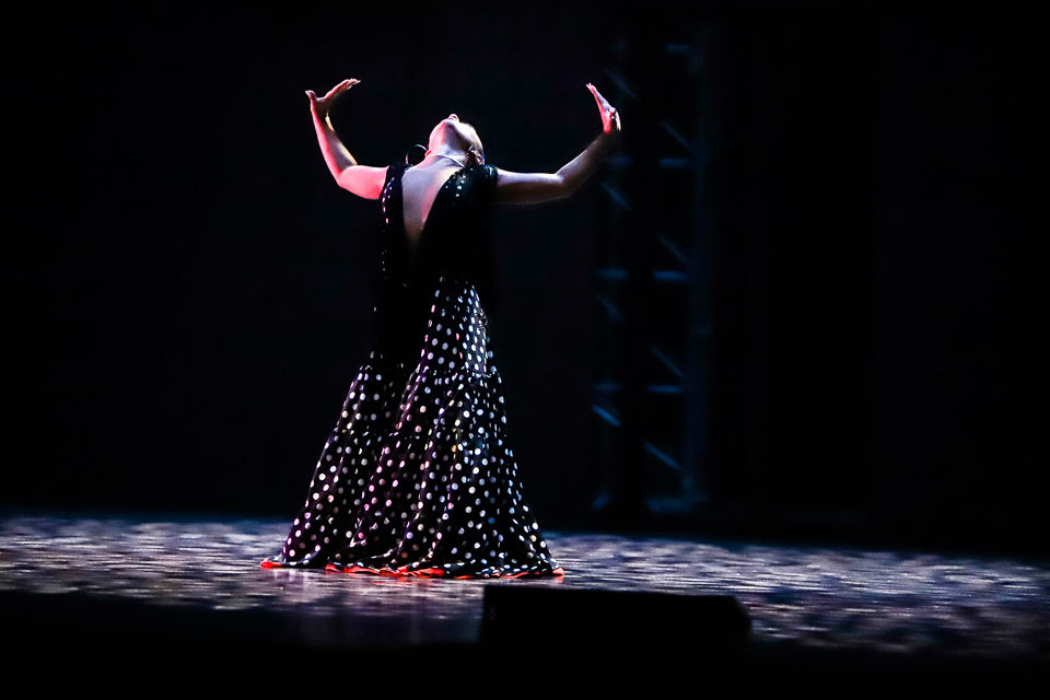 Dancing with the Burke Stars 2020-0571 (98).jpg